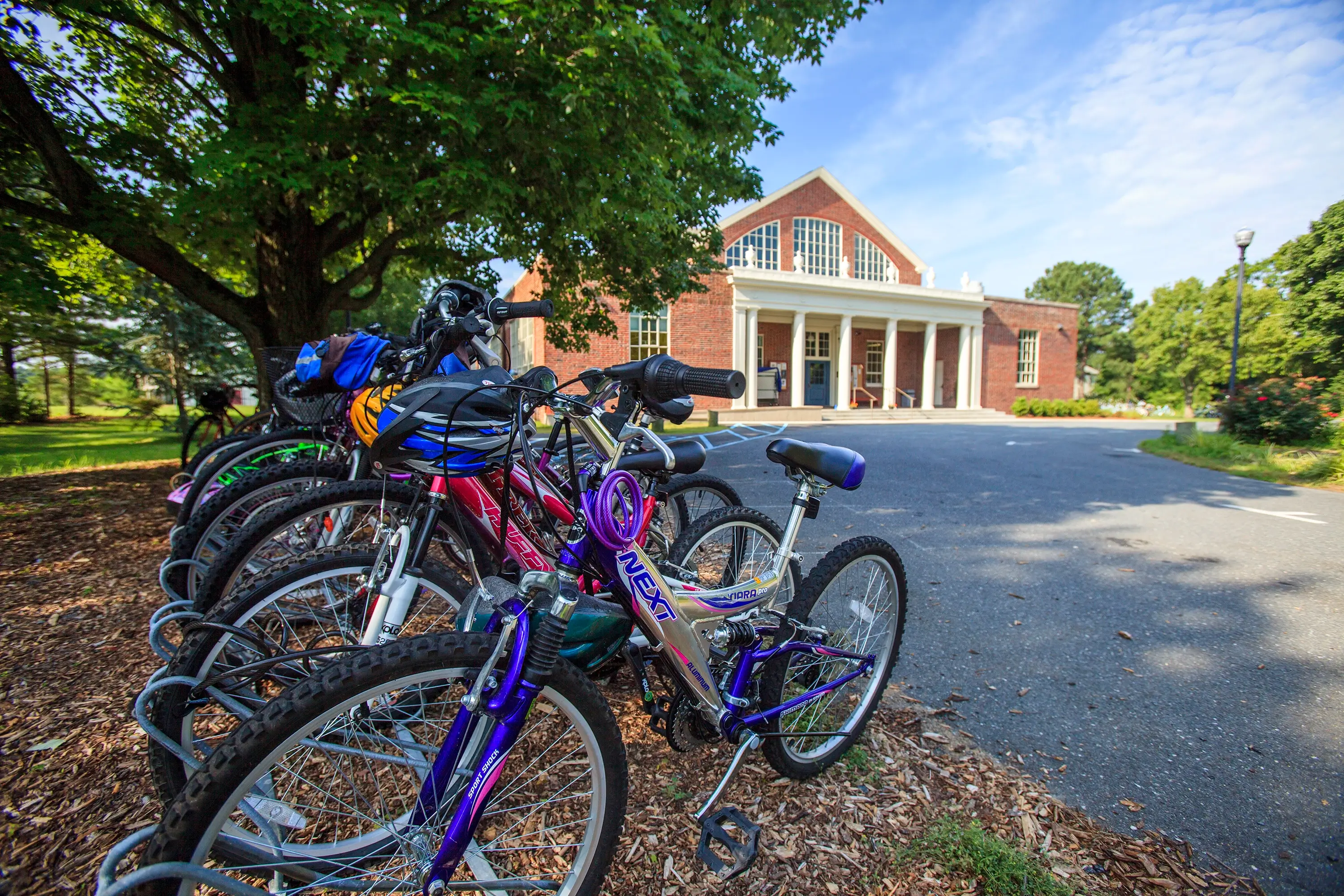 Bicycle parking in Talbot County.