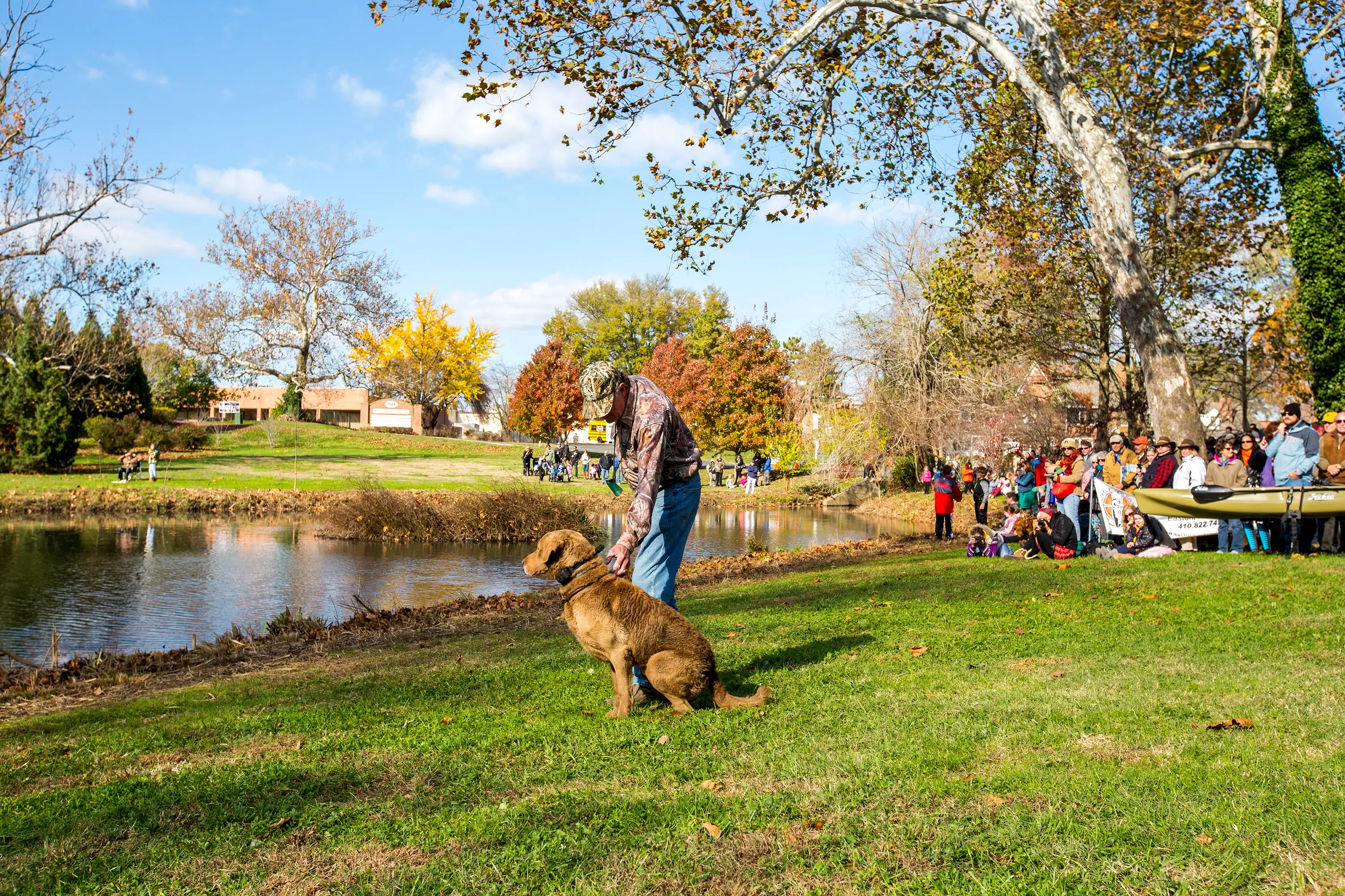 A dog waiting by a pond at the Waterfowl Festival.