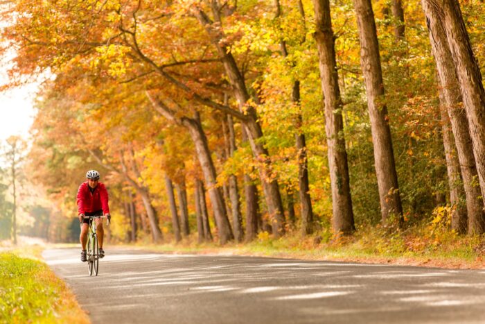 Cruisin' the Great Talbot County Loop: Stop 2 - Oxford 1 Bicycling Fall