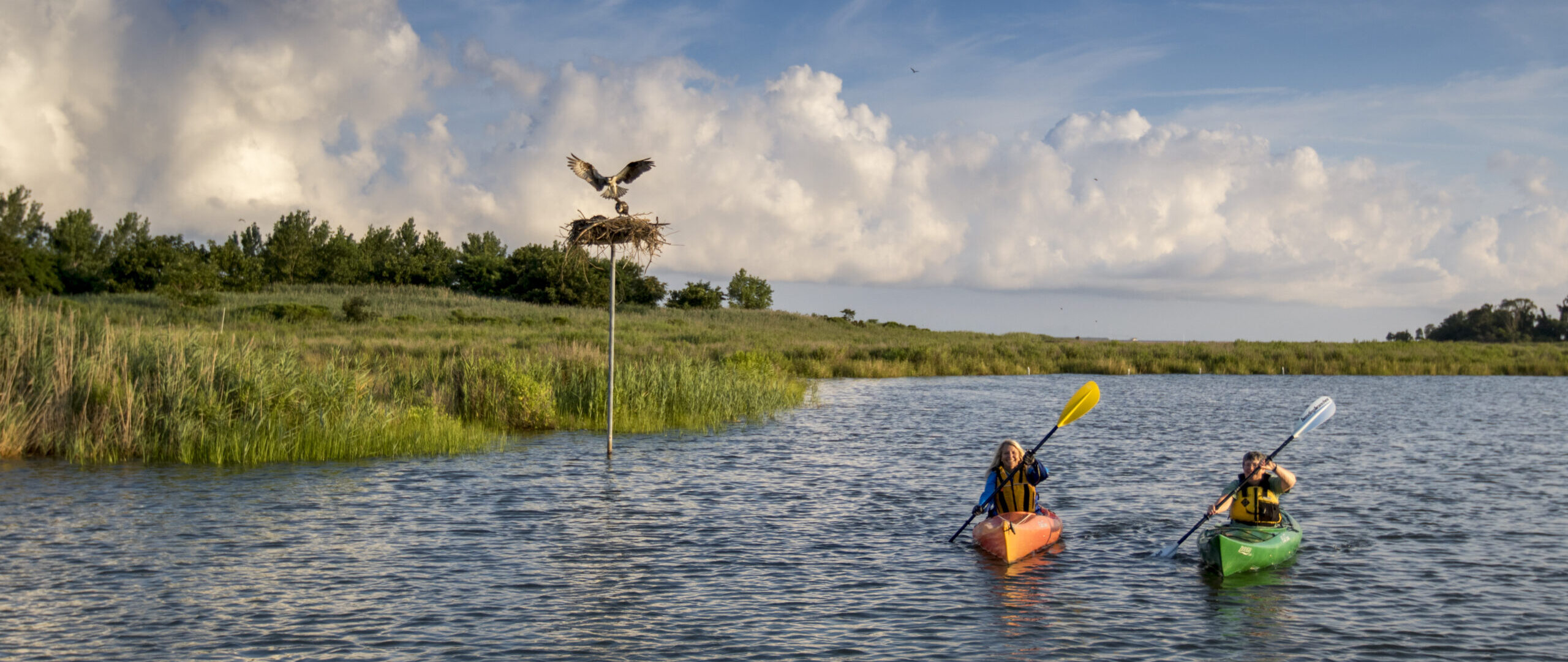 Kayakers on the water in Talbot County.