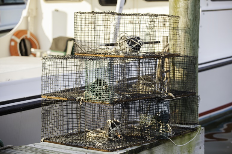 Crab post in Tilghman Island