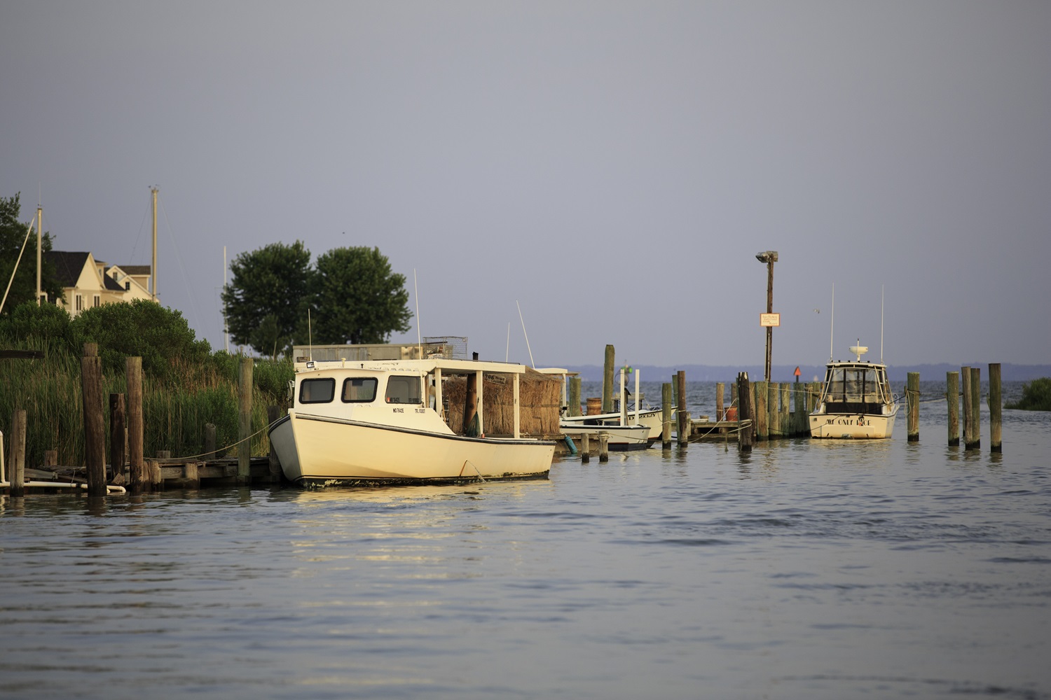 Tilghman Island working boat on the water