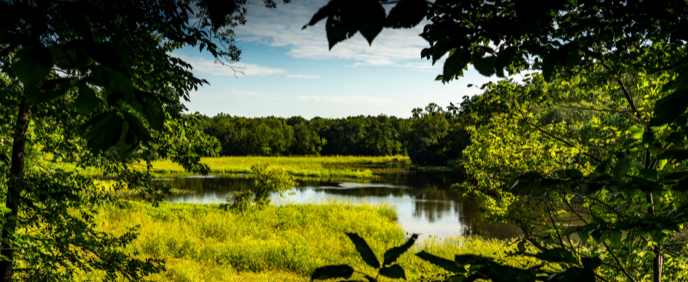 Frederick Douglass Park on the Tuckahoe