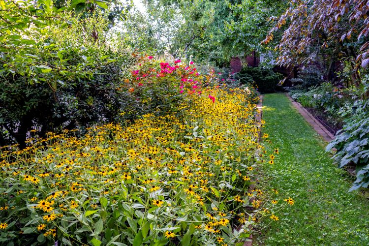 Spring Day in Talbot County - Talbot Historical Society Garden