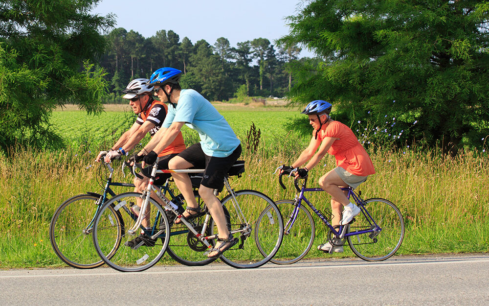 Family biking on the road in Talbot County.