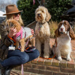 Bring your dog with you to the Waterfowl Festival in Talbot County, Maryland.