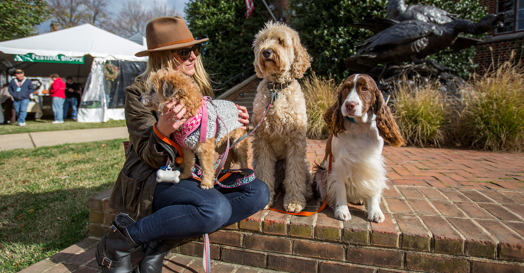 Bring your dog with you to the Waterfowl Festival in Talbot County, Maryland.