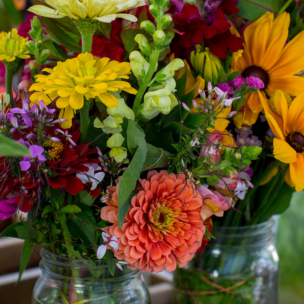 Spring in Talbot County