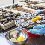 Piles of oysters in wooden baskets with a tray partially over them full of oysters with a few lemon slices. The tray is held by gloved hands.