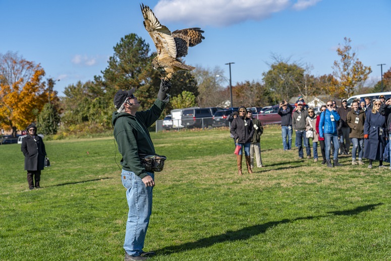 Man with raptor at the Waterfowl Festival.