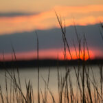 Sunset over the water and beyond the shore grasses in Talbot County, Maryland.