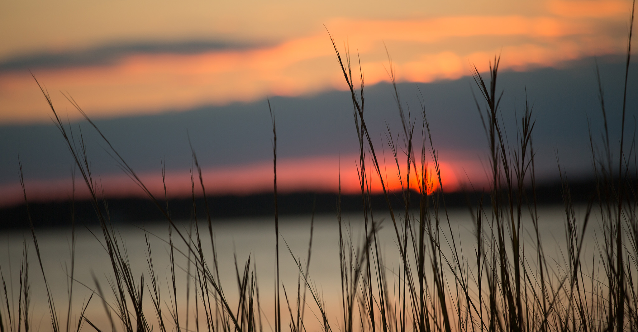 Sunset over the water and beyond the shore grasses in Talbot County, Maryland.