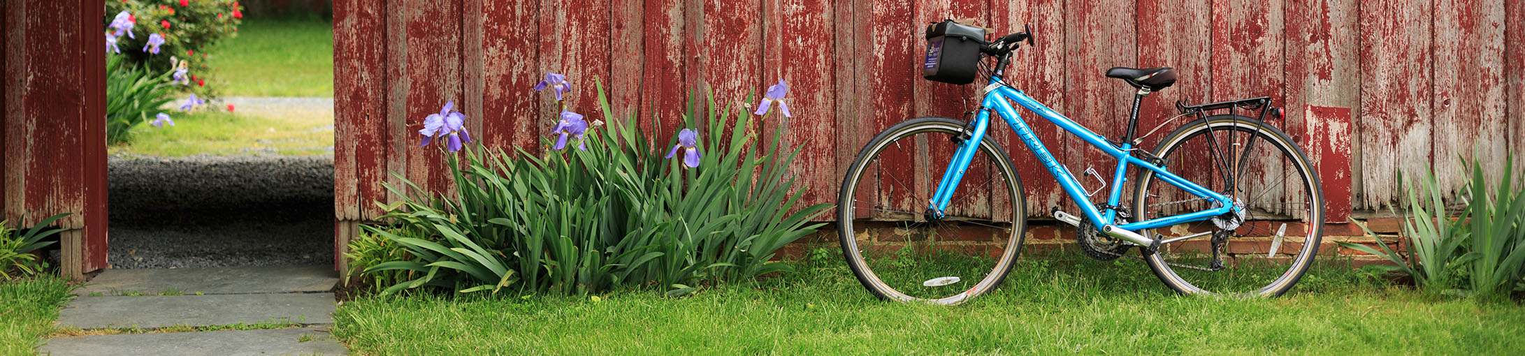 Bicycle leaning on an old barn in Talbot County, Maryland.