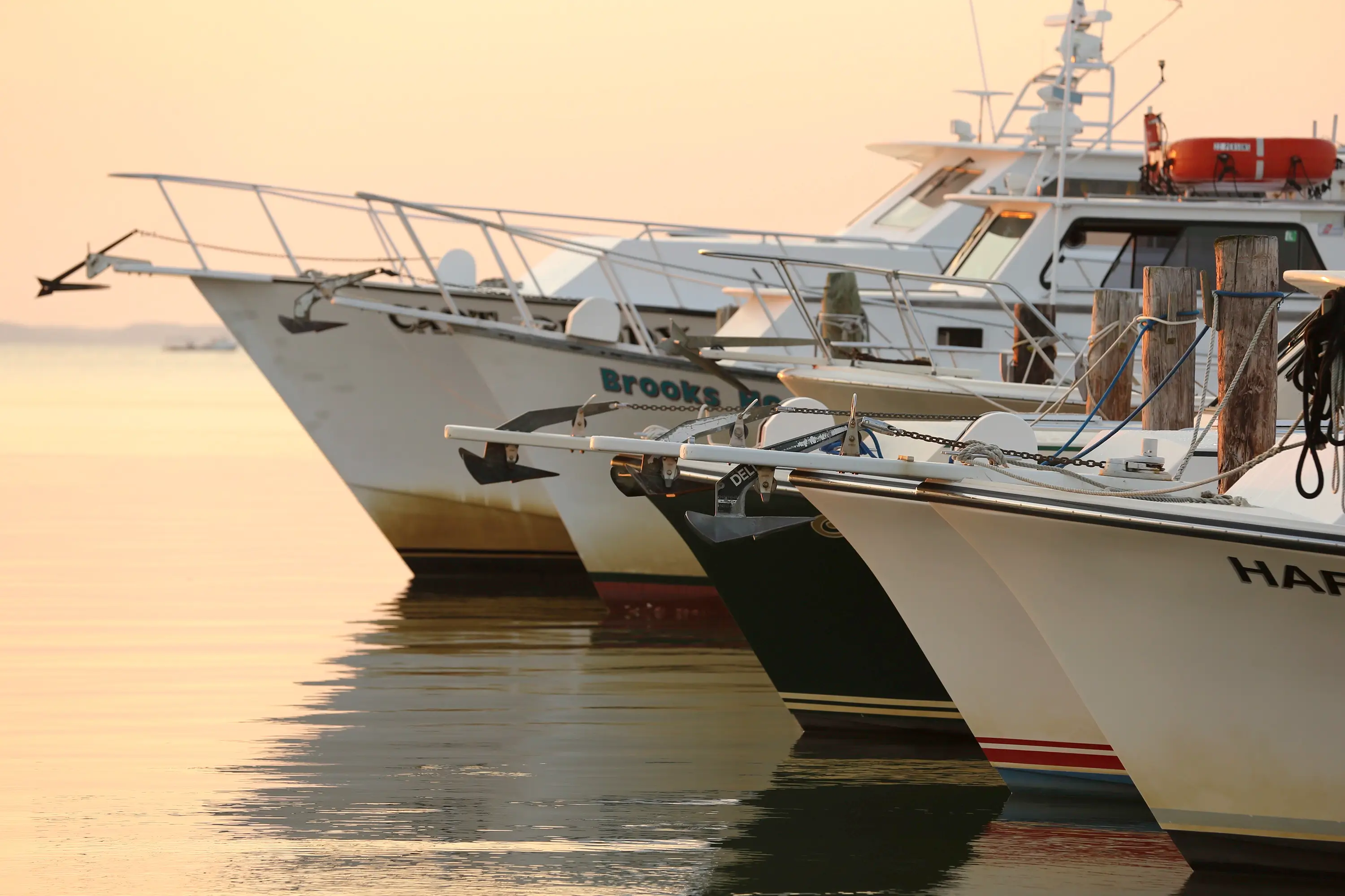 Fishing fleet in Talbot County.