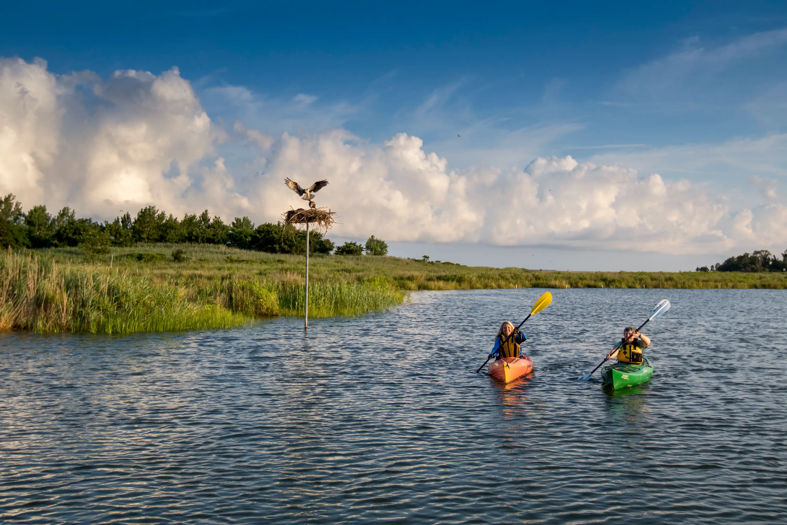 Kayakers paddling in Tilghman Island, Talbot County.