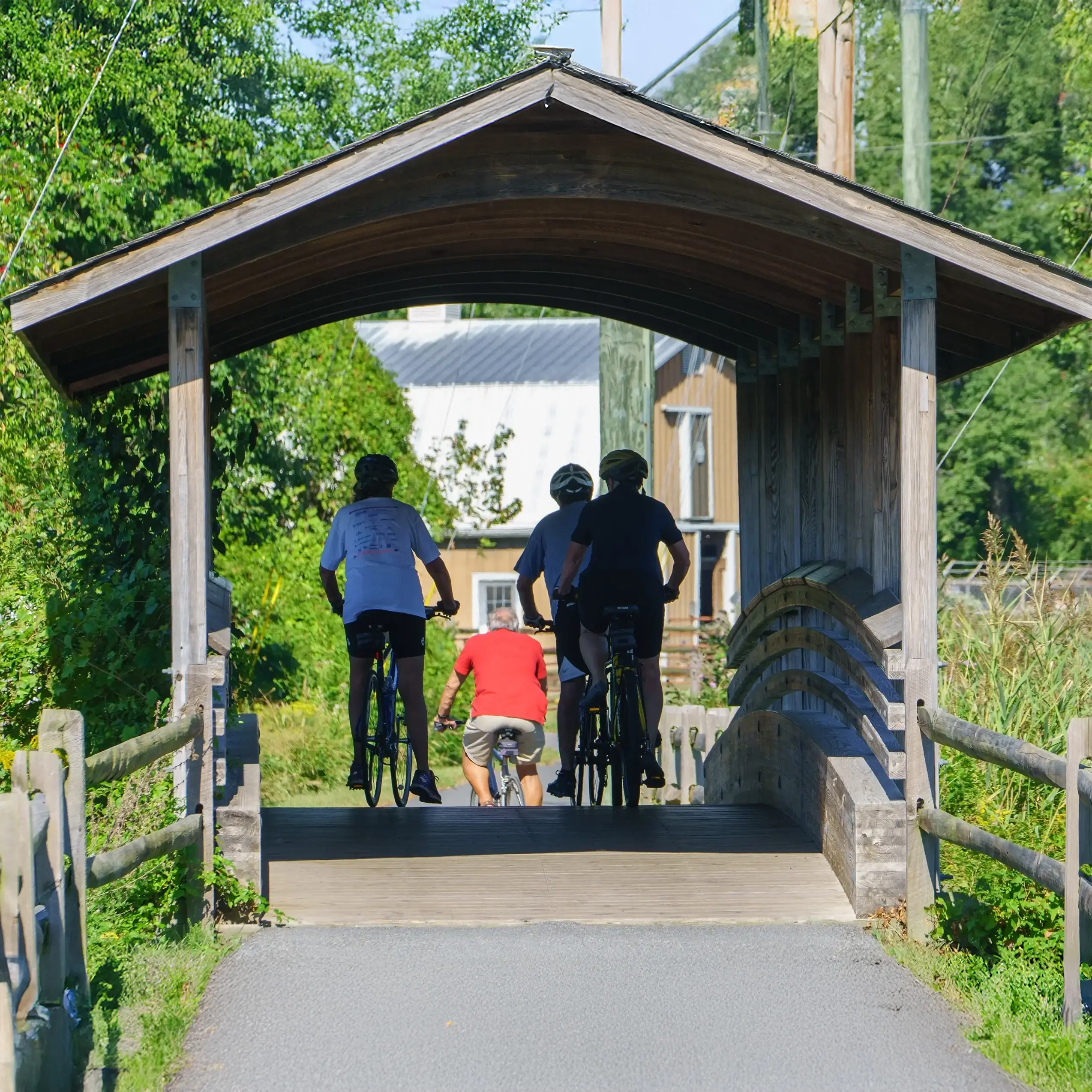 Bill Shook Memorial Bridge on the nature trail in St. Michaels.