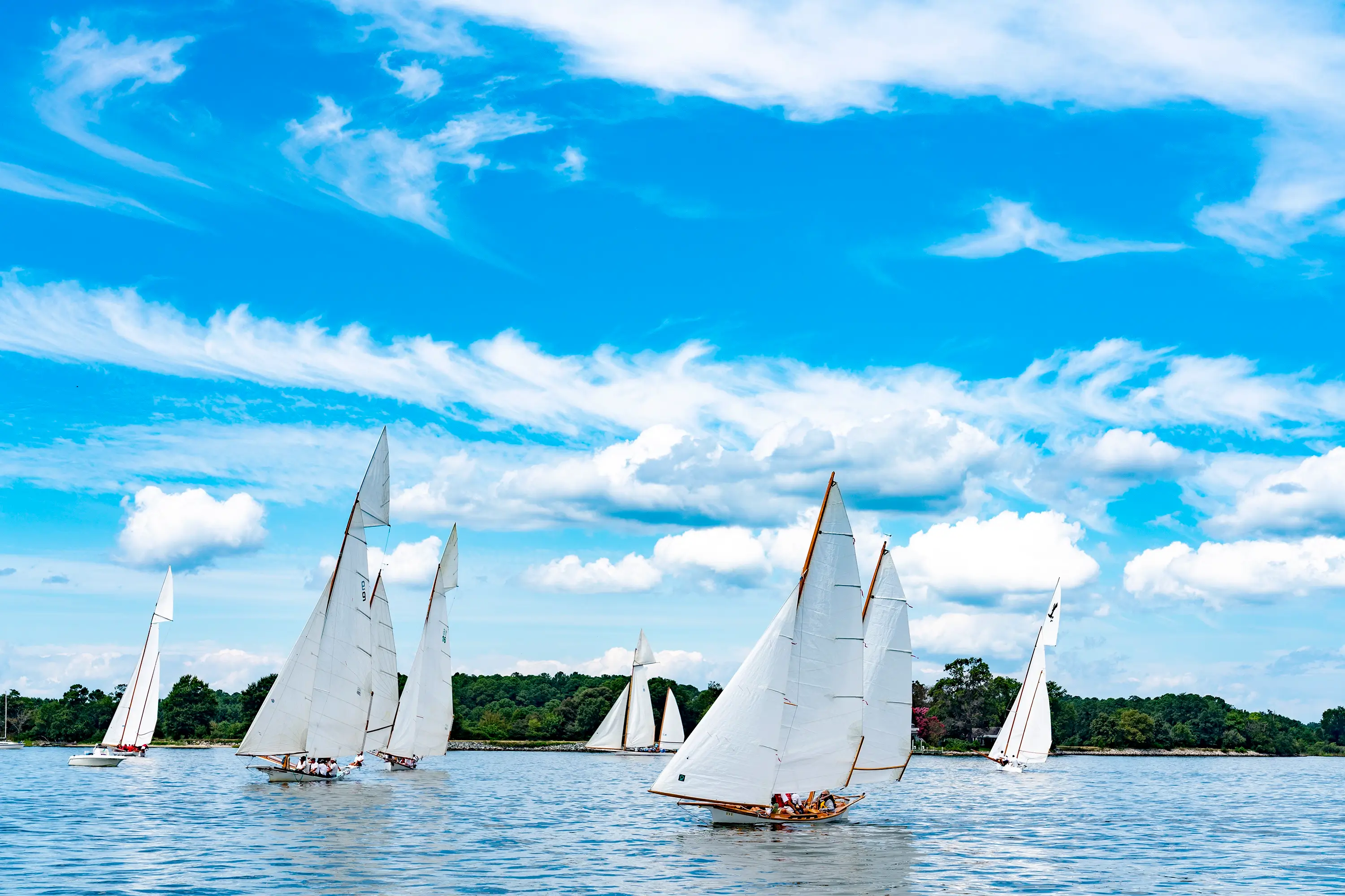 Log canoes in the open water in Talbot County.