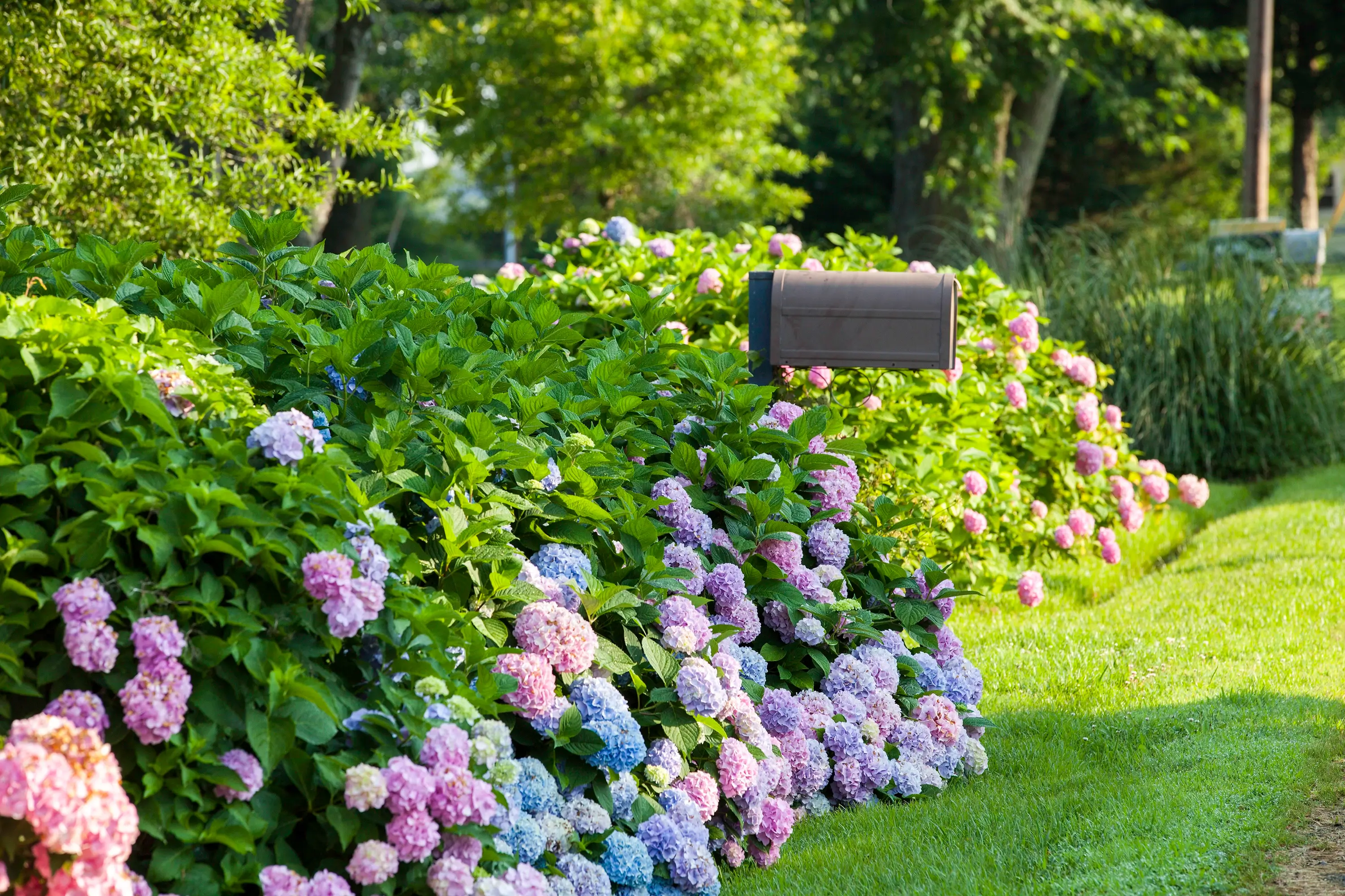 Tilghman Island mailbox in Talbot County.
