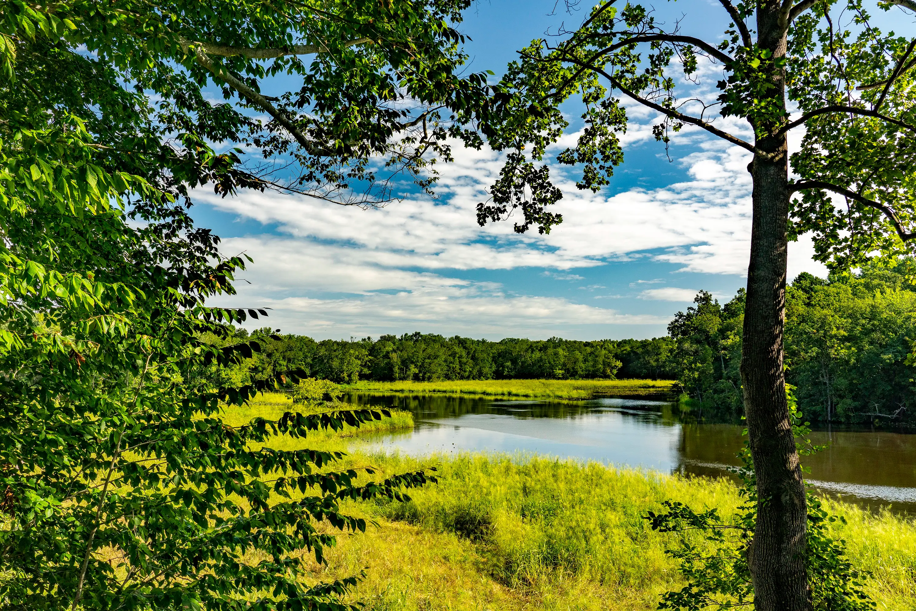 The Tuckahoe River in Frederick Douglass Park.