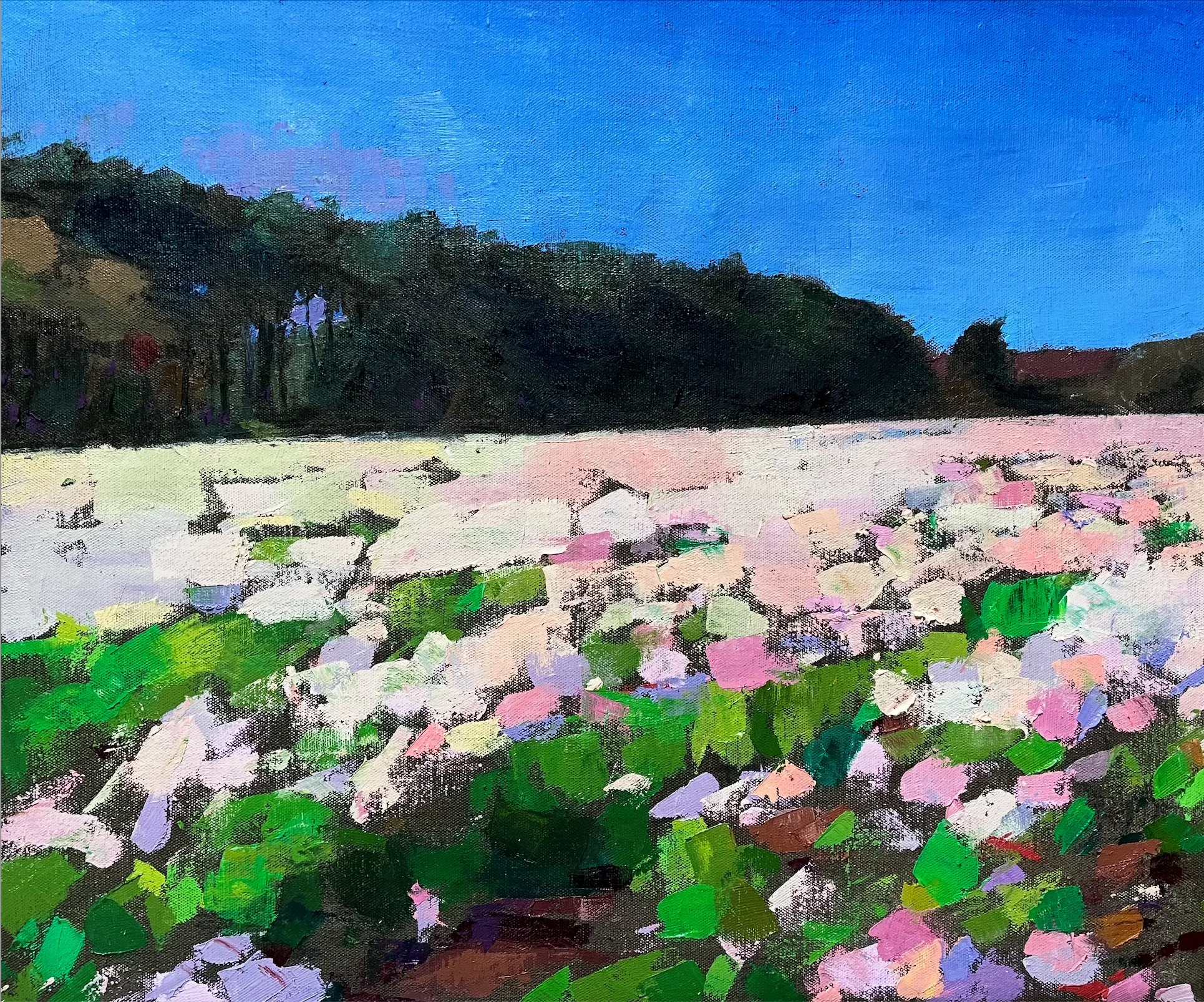 Painted field of flowers, artwork by Larry Horowitz called Summer Flower Field